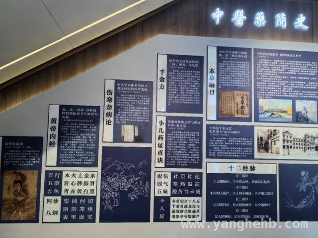 长春中医药大学附属三院中医药活动：触摸中医药温度，感受杏林芬芳，长春中医药大学附院春分开启中医药文化盛宴，市民沉浸式体验魅力