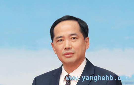主动投案！宿州原市长王启荣违纪违法背后有何隐情？