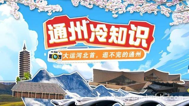 探秘通州：千年运河畔的冷知识盛宴 跟着“通州冷知识”，探寻运河边的城市密码