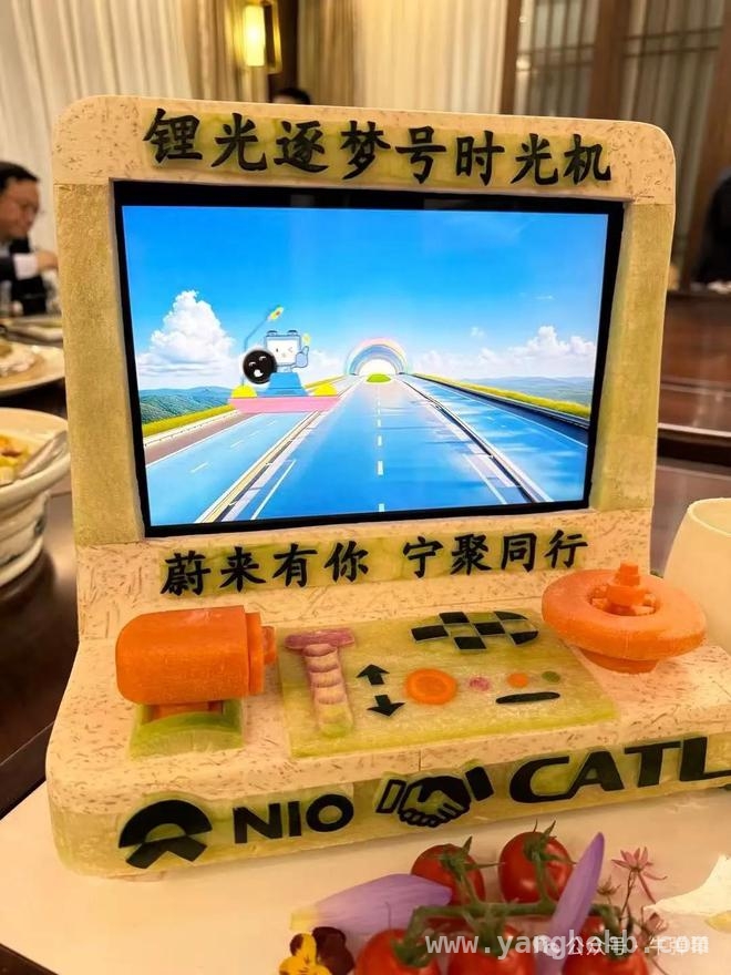 宁德时代与蔚来：新能源合作背后的大国崛起密码，蔚来宁德时代合作：引领新能源产业走向有序合力