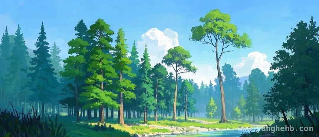 保险：为人生各个角落撑起保护伞，保险——对抗风险的“秘密武器”