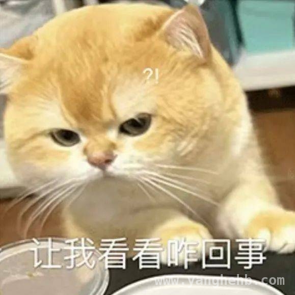 国门惊现奇葩“搭车”，出入境规则不容挑战！ 出入境“搭便车”不可取，移民管理警察严把关！