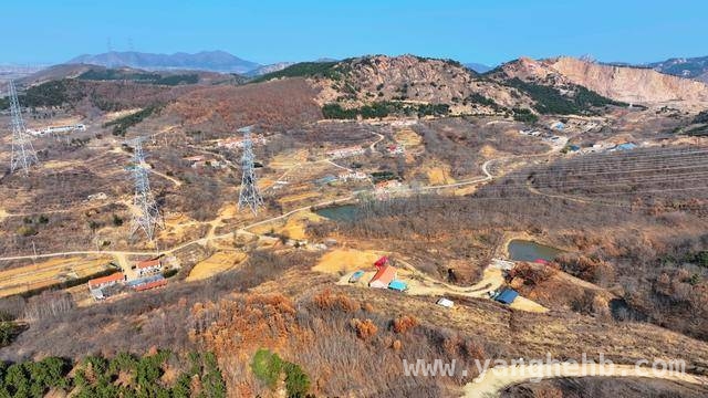 青岛 87 年小伙转型养鹦鹉，年入 280 万背后的故事