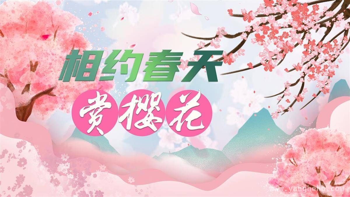 武汉樱花漫游季，解锁春日浪漫新玩法