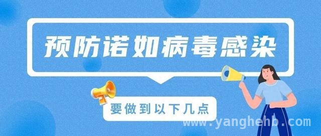 3月诺如病毒肆虐，这些防护要点要牢记！，警惕3月诺如病毒，掌握预防感染秘籍