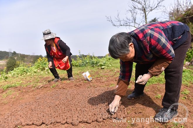 春耕春播遇上摄影展，共赴春日之约 蛇年春日，用镜头捕捉“春色”之美