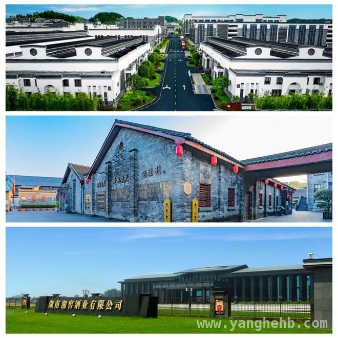 2024珍酒李渡逆势上扬，各方面表现可圈可点