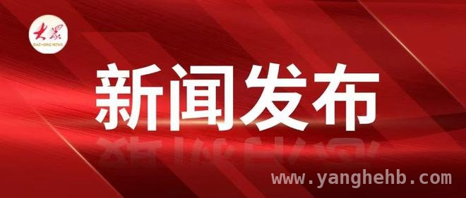 枣庄推进大中小学思政课一体化建设，培育时代新人 枣庄大中小学思政课一体化：融合多方资源，提升育人质量