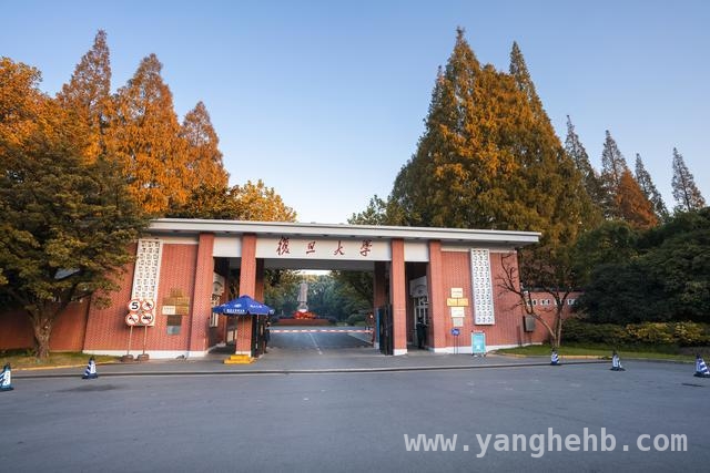 985研究生卖土豆泥日入700，是浪费资源还是勇敢追梦？，当985研究生遇上土豆泥摊，教育与职业的碰撞