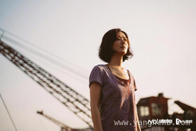 2. 赵丽颖亲自出手，击碎向阳·花不实传闻！，3. 电影向阳·花陷不实报道漩涡，赵丽颖果断辟谣引关注