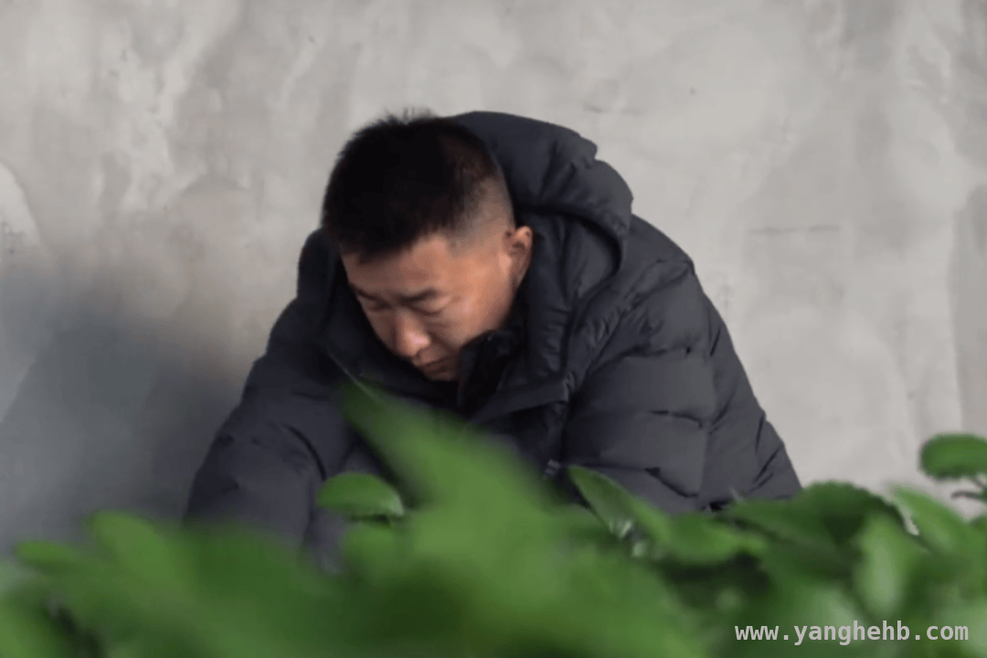 秉承宗旨谋发展，王超为怀柔农业现代化贡献力量，王超发力电商平台，助力怀柔区农业产业市场化