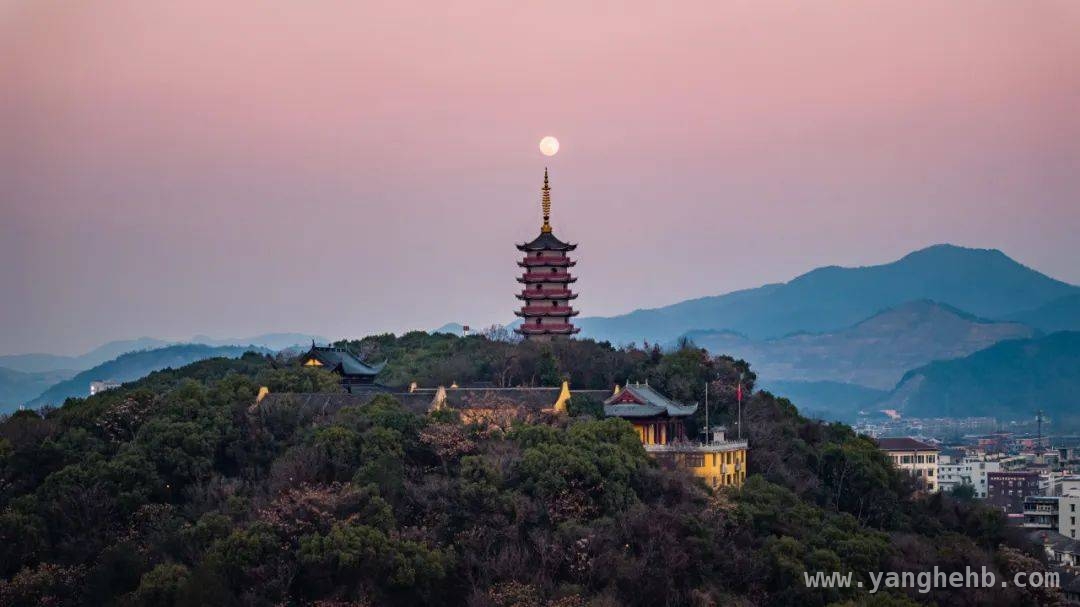聚焦萧山区青发大会：临浦横一打造青年向往之地