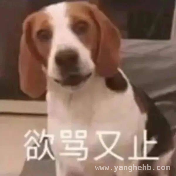 乐平警方出击：揪出长期盗销国有资产的犯罪团伙 乐平警方破获大型盗销国有资产案，犯罪团伙终落法网