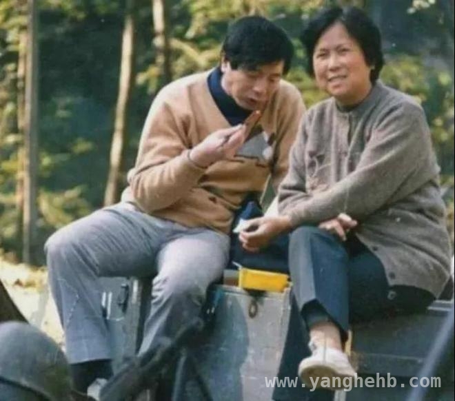 打破常规的浪漫：王崇秋与杨洁的爱情与西游传奇，王崇秋和杨洁：跨越年龄的爱铸就经典〈西游记〉