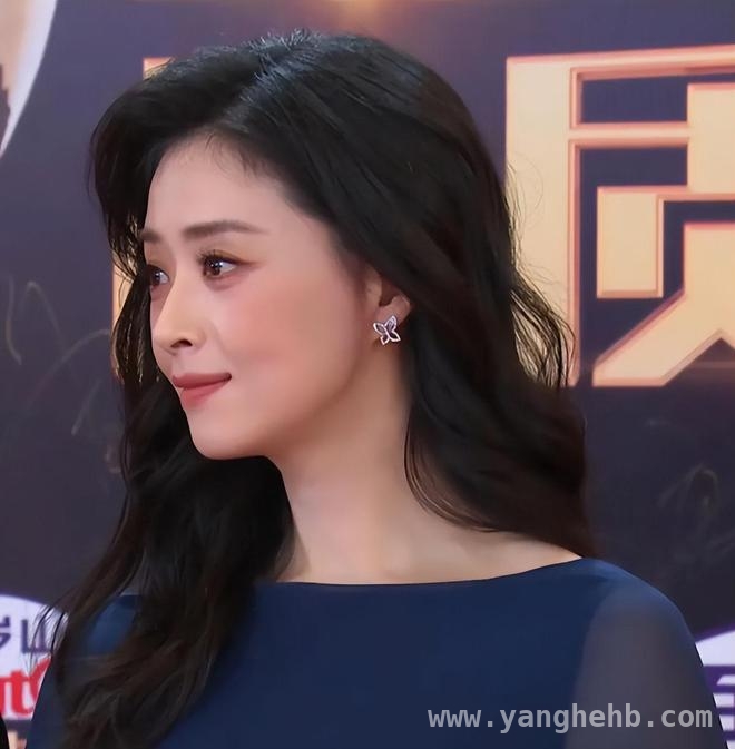 明星红毯翻车现场：2025电视剧品质盛典大赏