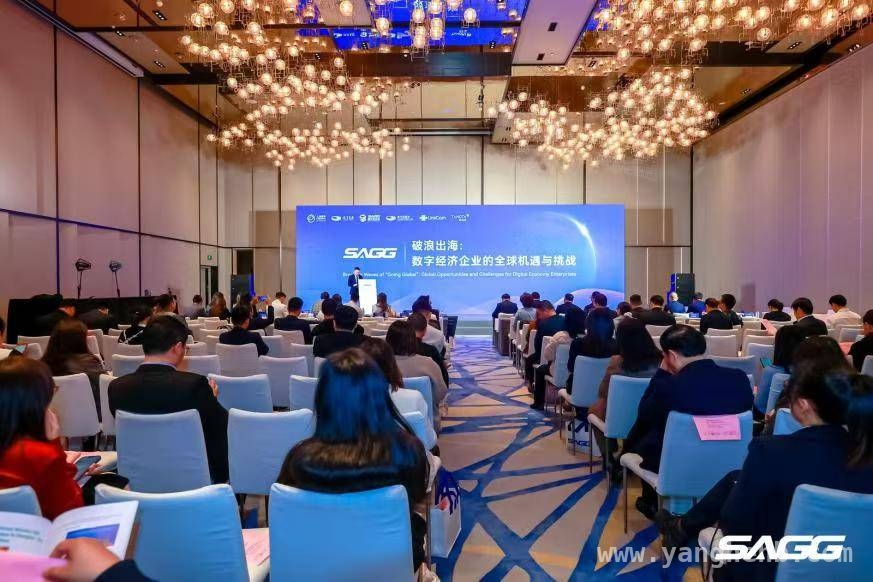 数据入境与安全：中资企业出海的关键课题