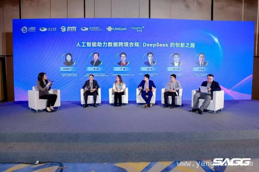 数据入境与安全：中资企业出海的关键课题
