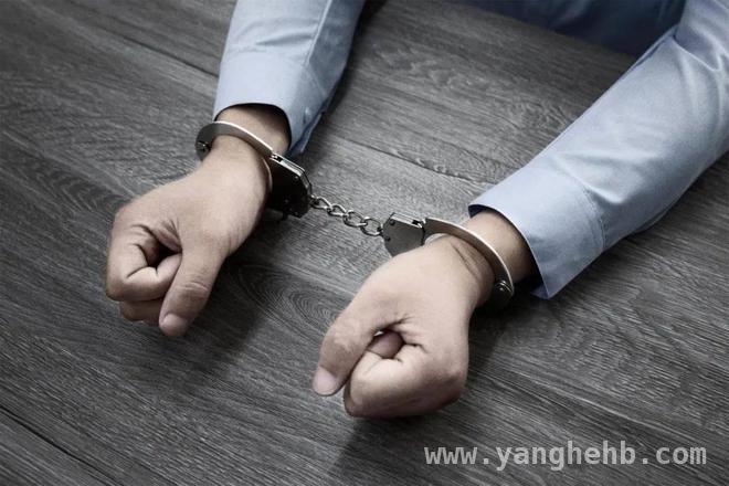 废品站血案：利益纷争下的人性悲歌