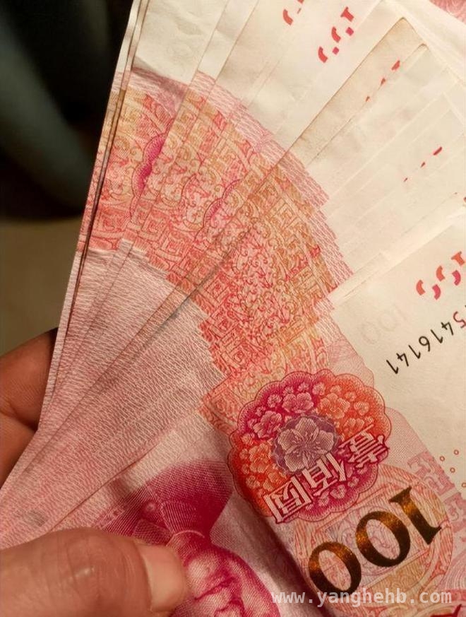 废品站血案：利益纷争下的人性悲歌