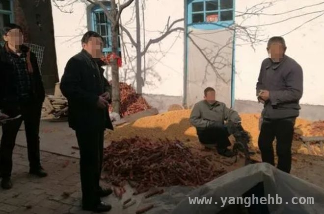从寡妇失踪案看婚姻与法律的重要性，山西寡妇失踪案：婚姻坎坷引悲剧