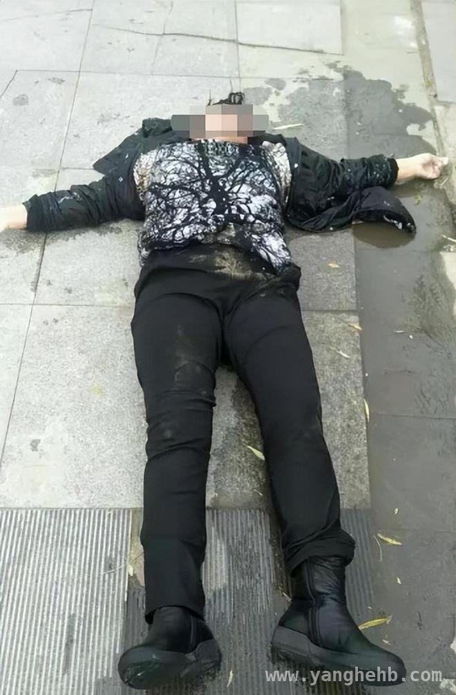 从寡妇失踪案看婚姻与法律的重要性，山西寡妇失踪案：婚姻坎坷引悲剧