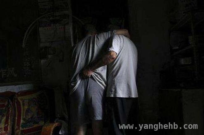 从寡妇失踪案看婚姻与法律的重要性，山西寡妇失踪案：婚姻坎坷引悲剧