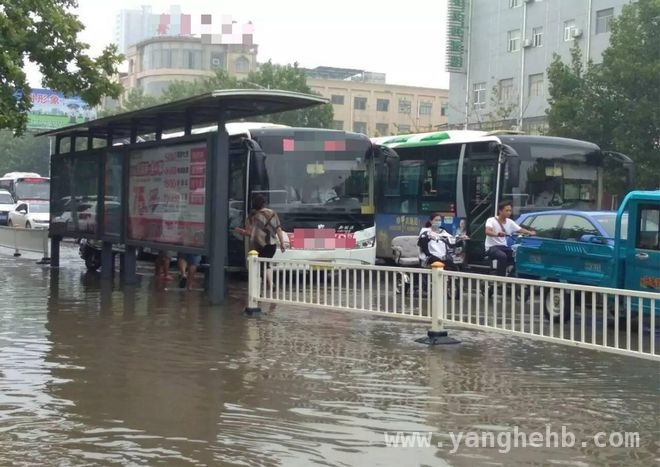 一场面试泡汤，换来公交司机血溅当场，谁之过？