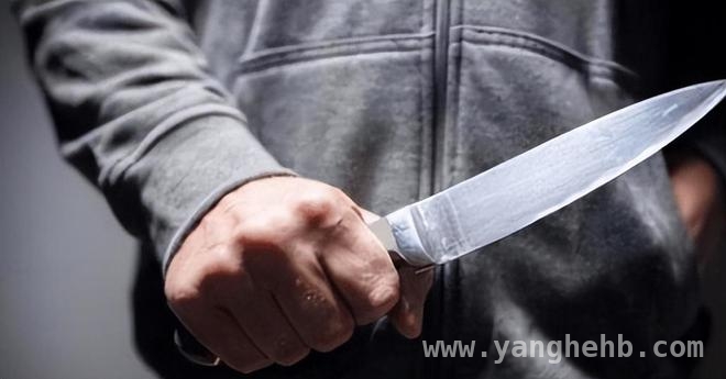 一场面试泡汤，换来公交司机血溅当场，谁之过？