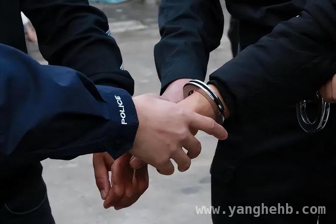 一场面试泡汤，换来公交司机血溅当场，谁之过？