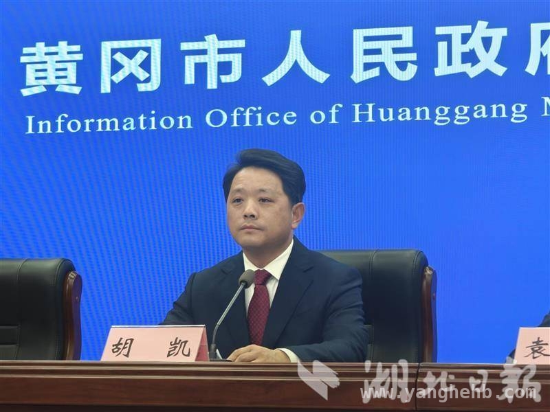 团风经济稳中有进，百亿产业集群建设加速启航，团风县长话经济，发展蓝图绘新篇