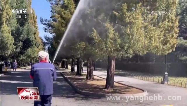 北京春季花粉高峰提前，公园开启“抗粉”行动