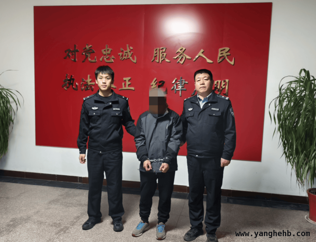 烟台海阳：春季防火严打违规用火，案例警示！