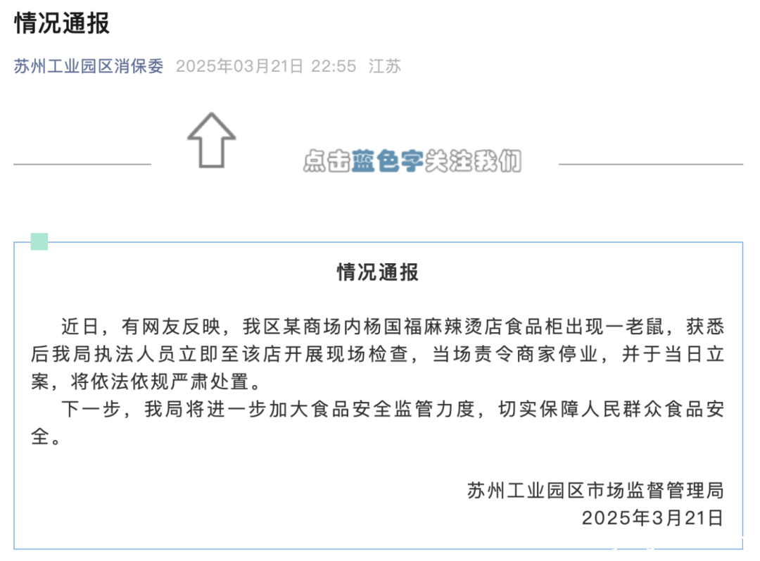 杨国福麻辣烫：老鼠风波下的连锁经营困境，杨国福麻辣烫频现鼠患，食品安全监管亟待加强