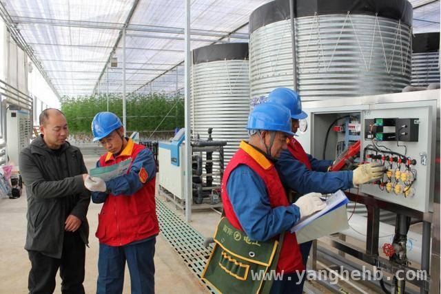 国网助力，天镇农业科技示范园用电安全有保障