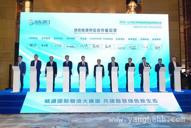 山东港口集装箱恳谈会：携手船企共绘港航发展新蓝图