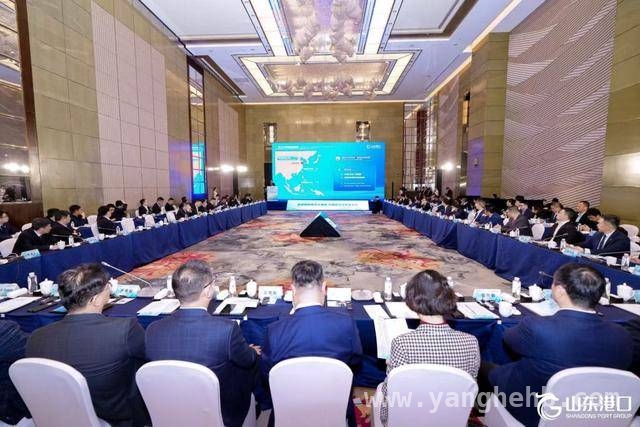 山东港口集装箱恳谈会：携手船企共绘港航发展新蓝图