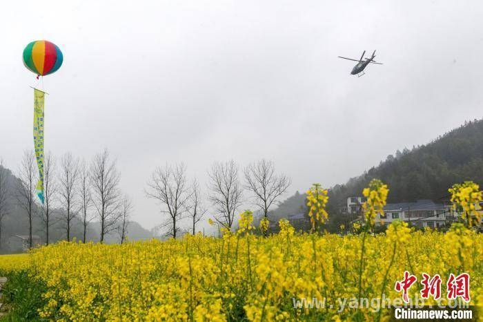 “赏花+”模式开启，春日消费热力来袭 抓住春日商机，“花式”玩法催热消费市场
