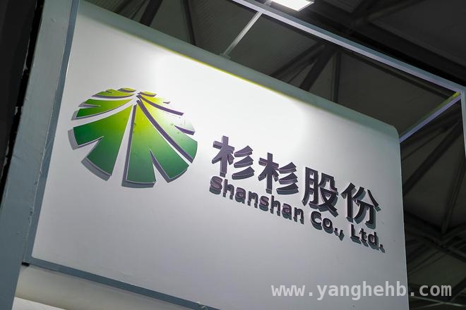 杉杉股份业绩亏损后又遇重整，后续发展充满变数 杉杉股份：业绩亏损与重整并行，未来能否突围？