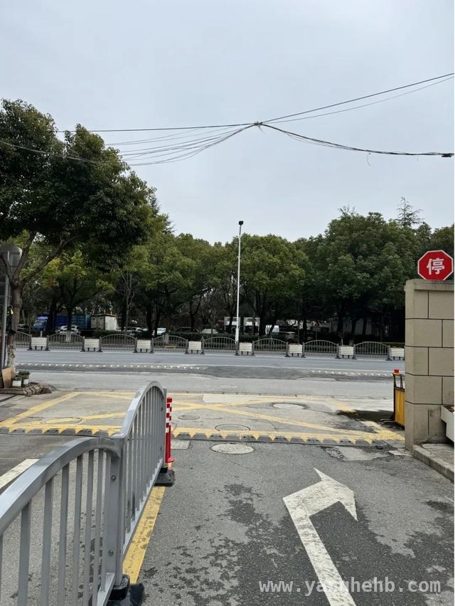 松江区以路灯整改诠释为民服务使命，从隐患重重到光明坦途：松江区路灯整改显担当