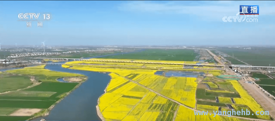 踏春之旅：福建贵州安徽的多彩花海盛宴 春日寻芳：多地花海盛景邀您共赏