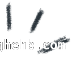 “赶海热”背后：创伤弧菌感染风险大揭秘 小心！处理海鲜不当或引致命危机