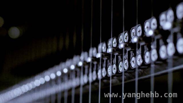 福州长乐纺织产业逆袭：从依赖进口到自主掌控己内酰胺