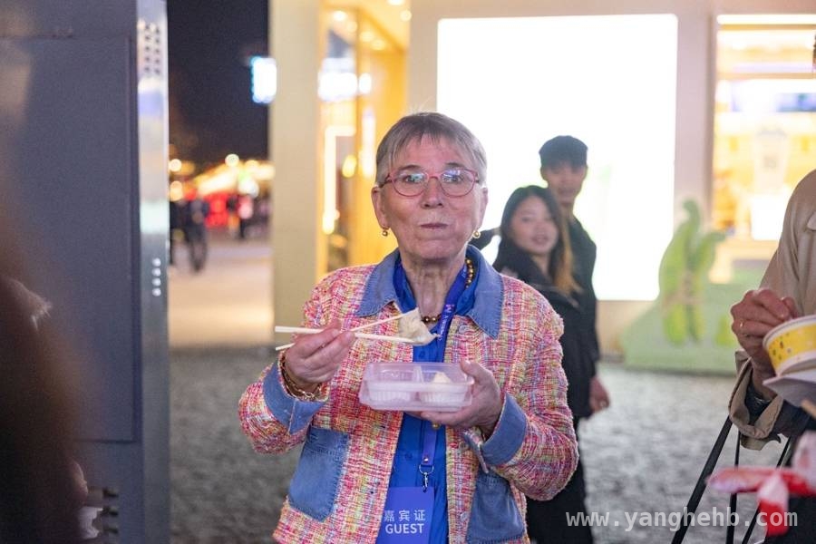 2025无锡国际月活动：中欧合作新机遇与江南文化魅力共绽 2025无锡活动：中欧产业合作启动，外籍友人体验传统与现代之美