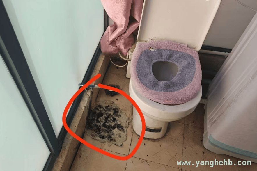 烟头误丢引火情，安全警钟需长鸣