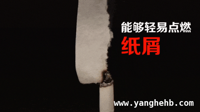 烟头误丢引火情，安全警钟需长鸣