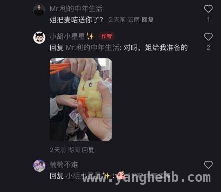 别错过！燕子姐姐同款麦咭挂件，珍藏童年美好！