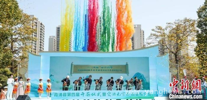 霞浦第四届开茶仪式：茶香两岸，产业融合新典范 “一叶霞浦”飘茶香，开茶仪式助力两岸茶缘再升温