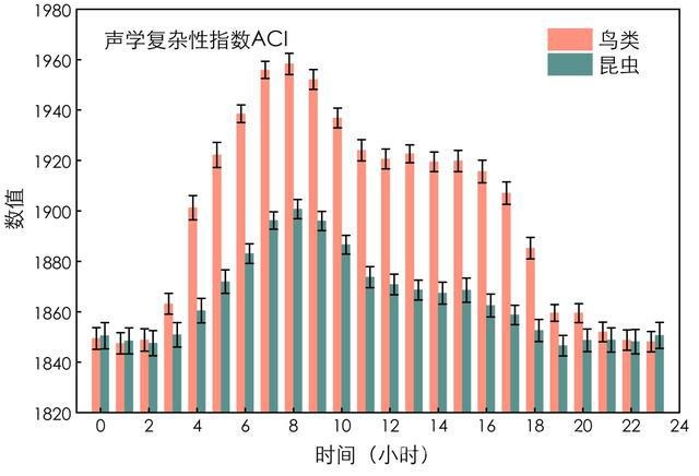 在上海，邂逅自然声音的奇妙世界