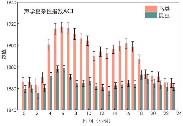 在上海，邂逅自然声音的奇妙世界