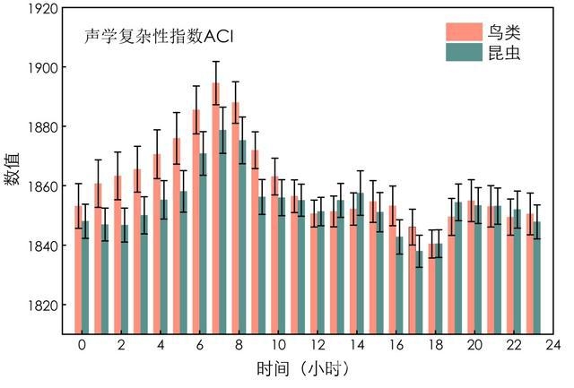 在上海，邂逅自然声音的奇妙世界